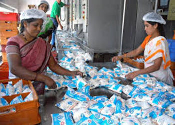 Nandini goes seven seas away!