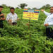 Case Study: IFFCO helps soil regain fertility