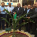 Plant trees to save environment: IFFCO MD