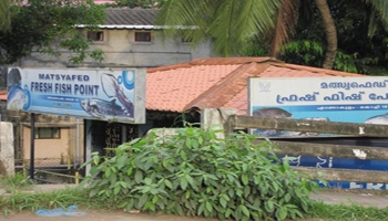 Kerala: Mayhem during Matsyafed AGM