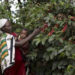 90 countries’ women have no equal rights for land: Reuters
