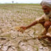 Modi’s crop insurance catching farmers’ fancy