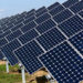 Dairy co-ops to install solar power plant