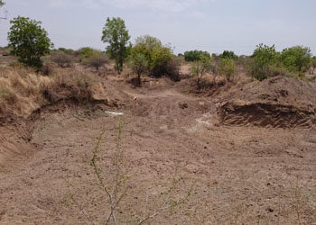 Pulse production: Recharging Marathwada