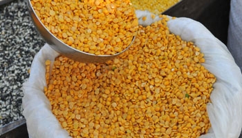 Govt takes no chance; imports pulses