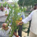 Awasthi plants neem trees on his birthday
