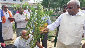 Awasthi plants neem trees on his birthday