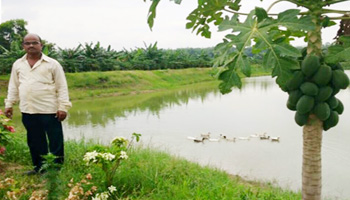 Sahu mines gold out of fish-farming!