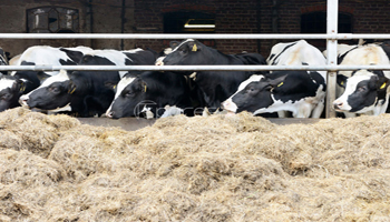 Committee on Fodder Development
