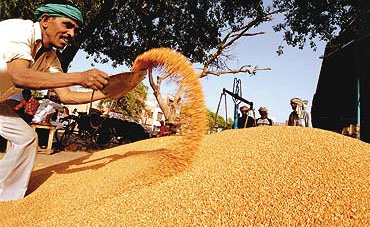 Paddy procurement at co-ops questioned
