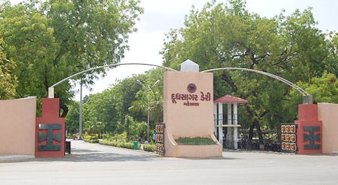 Doodhsagar: HC ruling to add to Vipul’s woes