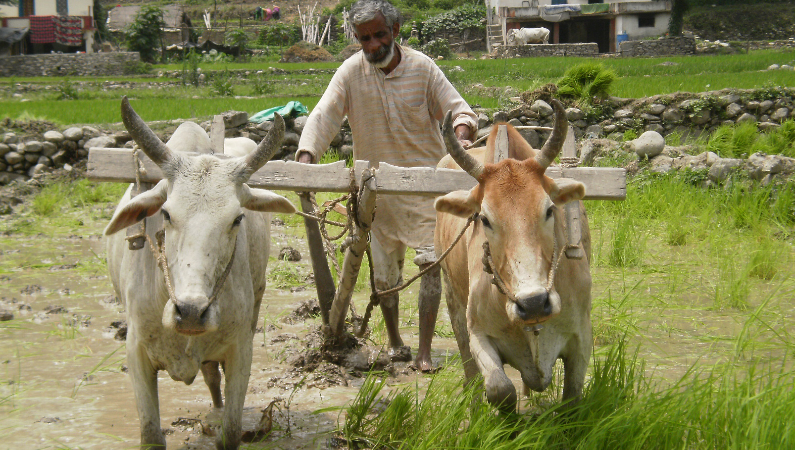 Farmer’s suicide in Uttrakhand
