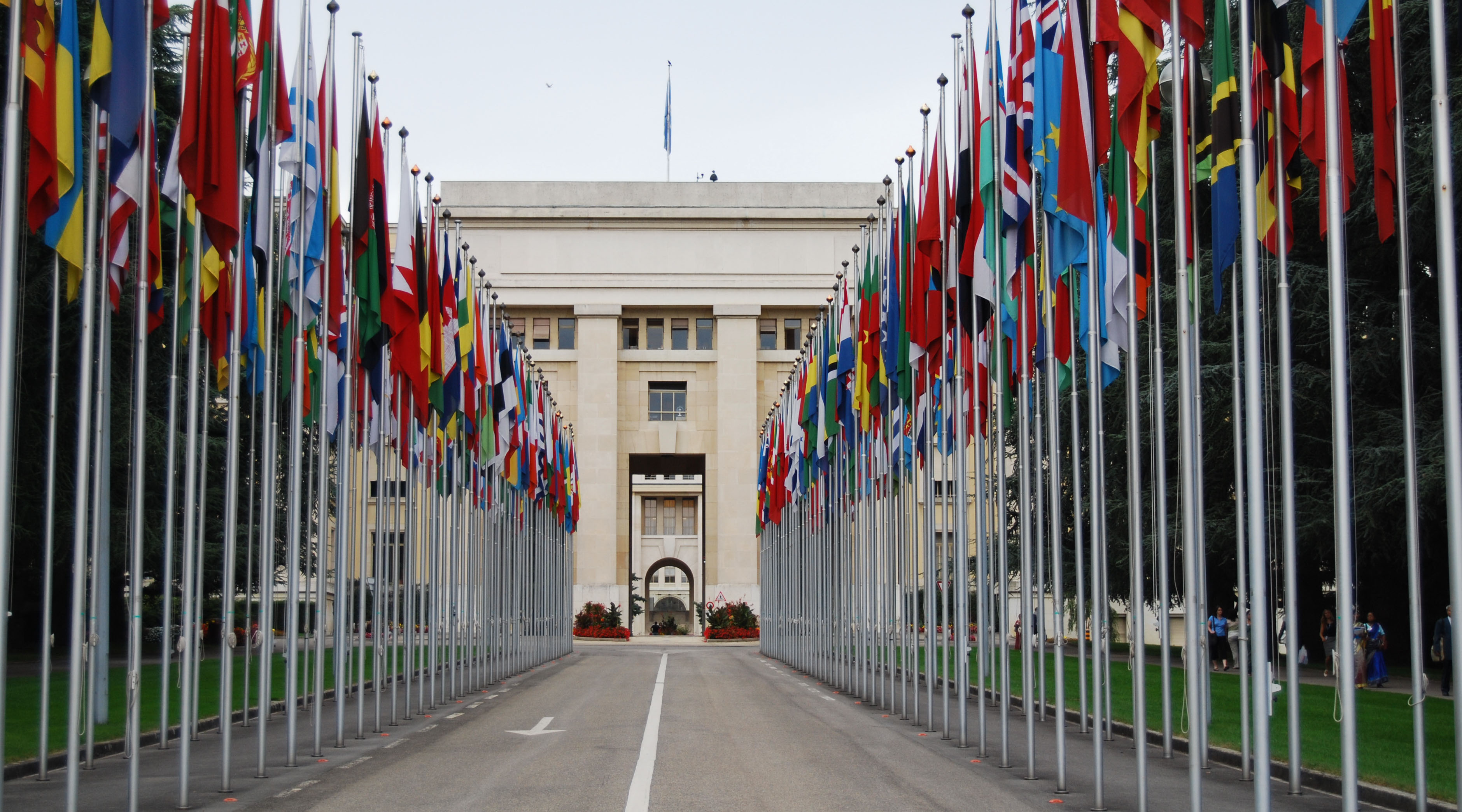 UN pledges to eliminate poverty through co-ops