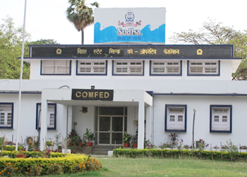 Makar Sankranti impetus to milk co-ops in Bihar