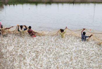 Swiss co-op ties up with India’s MPEDA