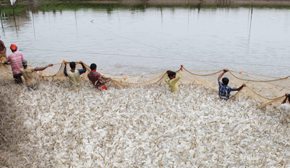 Swiss co-op ties up with India’s MPEDA