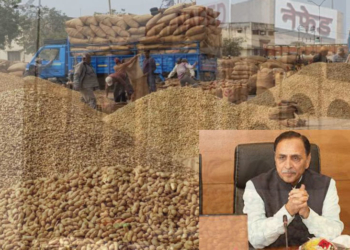 Godown fire: If Nafed is guilty, so is Rupani’s govt