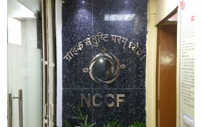 NCCF: Ex-staffers run from pillar to post seeking pension