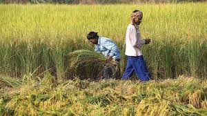 Germans ask Indian farmers to join co-op movement