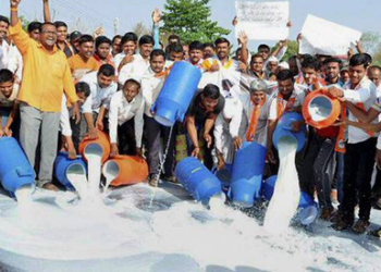 Maha crisis: Govt offers soft loan to dairy co-operatives