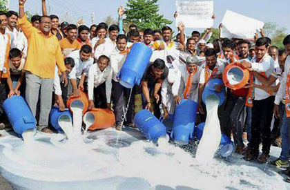 Maha crisis: Govt offers soft loan to dairy co-operatives