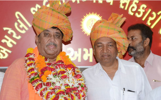 AJMS Bank: Sanghani & Patel re-elected