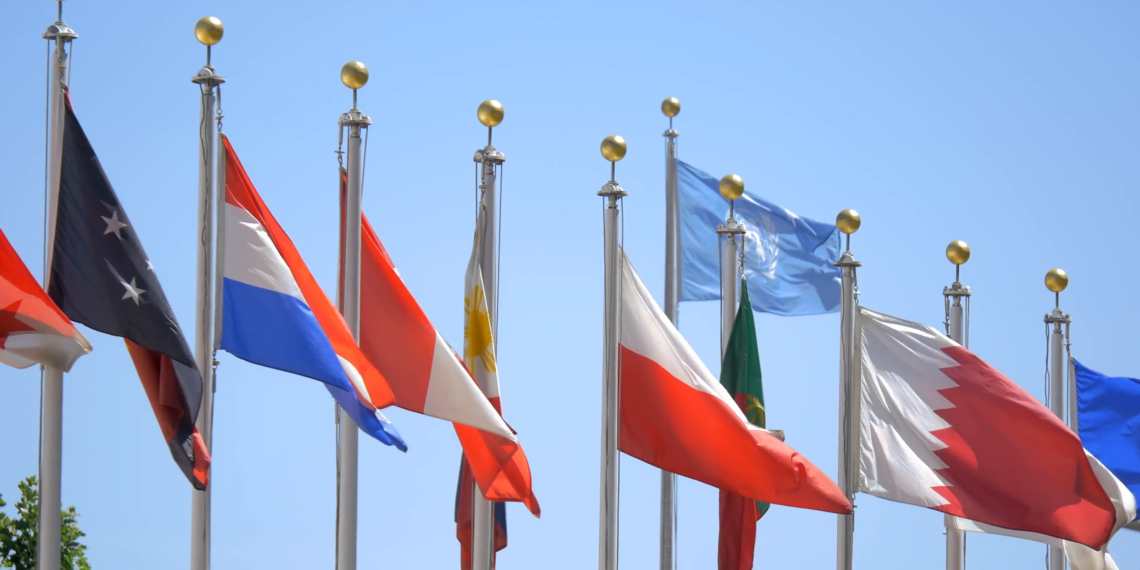 Co-op Day: UN Co-op Head shares success stories