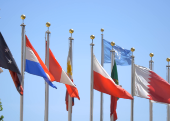 Co-op Day: UN Co-op Head shares success stories