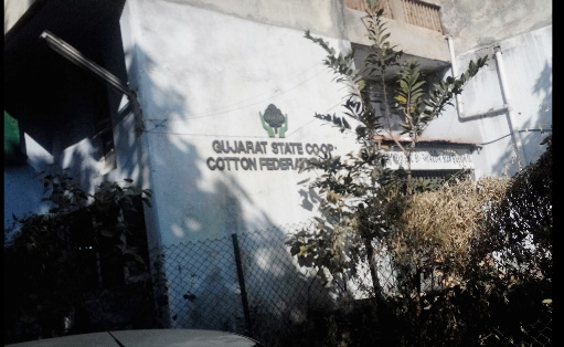 Cotton Co-op manager arrested in Gujarat