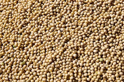 Barring soyabean, food grain production at record high