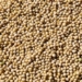 Barring soyabean, food grain production at record high