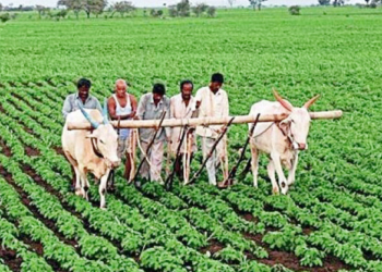 Fasal Bima: Delaying insurance companies to be punished