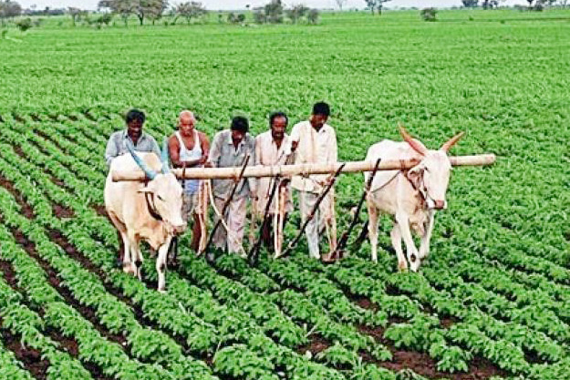 Fasal Bima: Delaying insurance companies to be punished