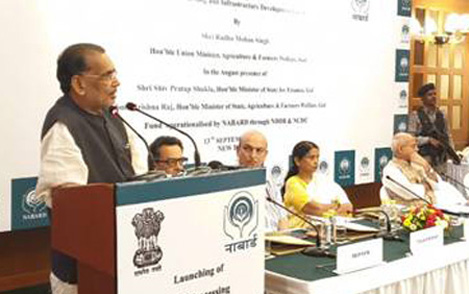 Boosting dairy co-ops: NDDB gets Rs 440 cr