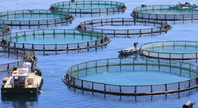 Blue Revolution: Govt creates Fisheries Fund