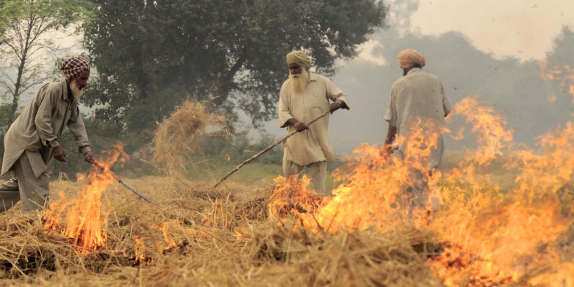 Punjab: Co-ops play a role in checking stubble burning
