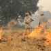 Punjab: Co-ops play a role in checking stubble burning