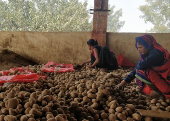 TOP: Govt issues guidelines for farmer producers