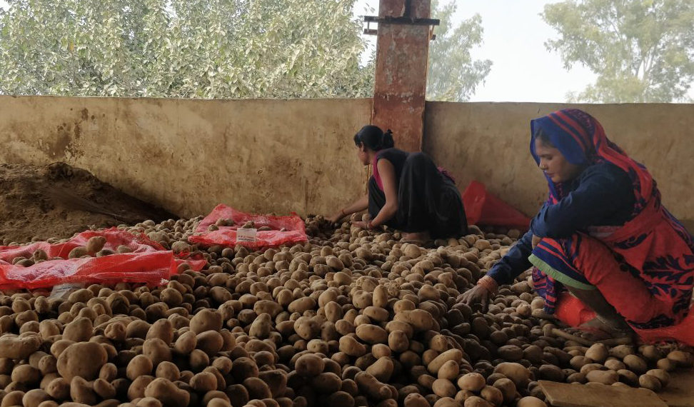 TOP: Govt issues guidelines for farmer producers