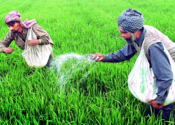 MP: Farmers are not getting urea in some areas