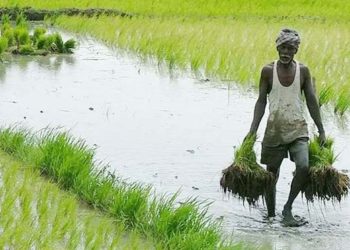 Government is working on a new market architecture