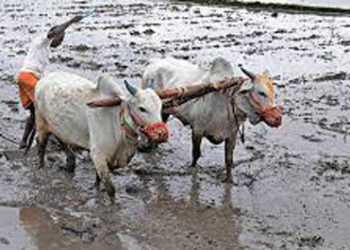 Co-op banks instructed to waive off loan