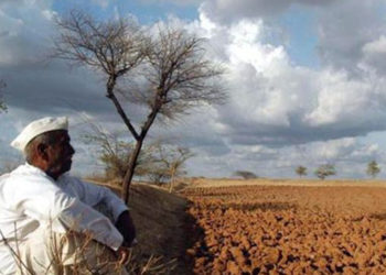 Did farm distress damage BJP chances in states?