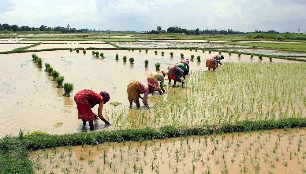 Telangana farmers demand strengthening of PACS