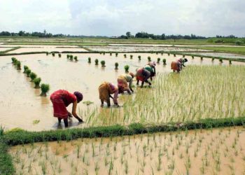 Telangana farmers demand strengthening of PACS