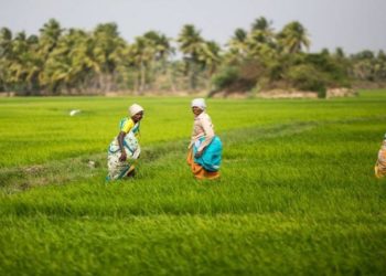 PM Kisan benefits 2 crore marginal farmers so far: Govt