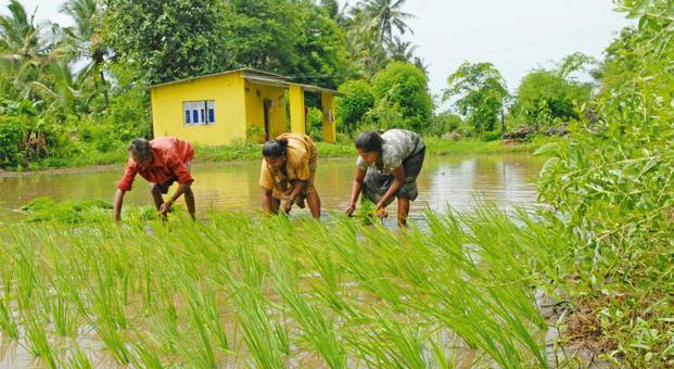Karnataka: Farmers’ loan waive off postponed