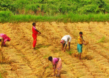 Farmers of WB, Sikkim & Delhi fail to avail PM Kisan
