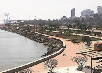 Fisheries co-ops get breather from Mumbai HC