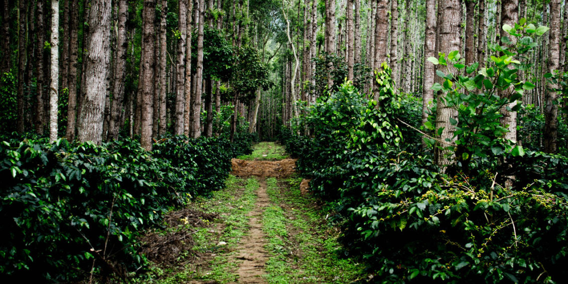 Tribal Complex in Kochi draws huge response from co-ops